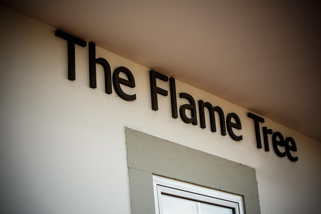 Hotel The Flame Tree Madeira (Adults Only) Funchal  Esterno foto