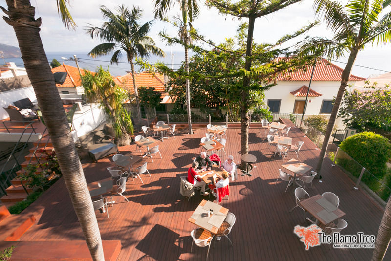 Hotel The Flame Tree Madeira (Adults Only) Funchal  Esterno foto